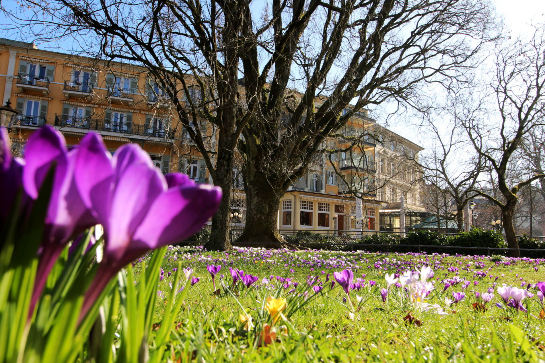 Jahresprogramm des Fachgebiets Park und Garten ist online