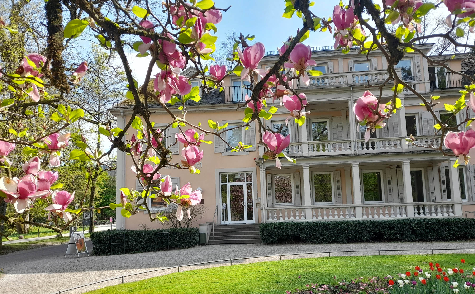 Ansicht Stadtmuseum